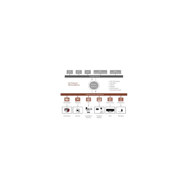 Интеграционный шлюз Mindray eGateway