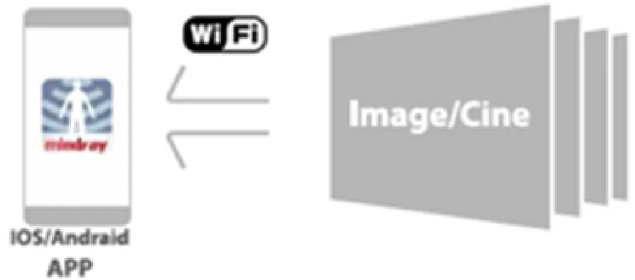 УЗИ аппарат Mindray DC-N3 Pro — medSight