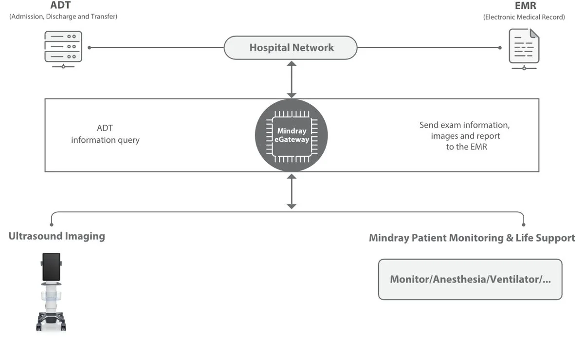 УЗИ аппарат Mindray TE9 — связь с системами стационара