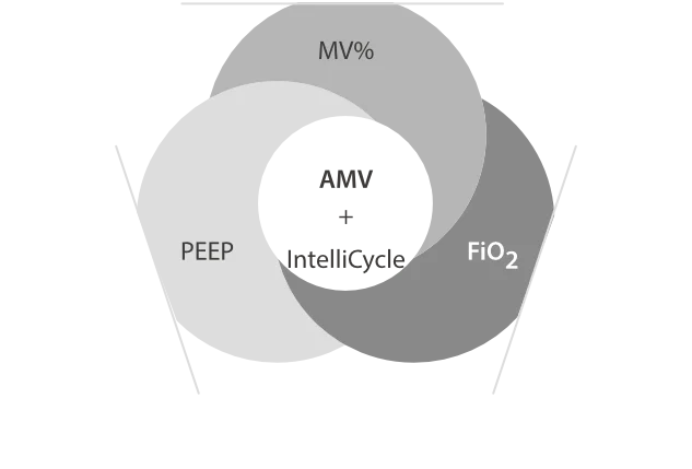 Три пересекающихся круга с подписями MV%, PEEP и FiO₂, в центре надпись AMV + IntelliCycle